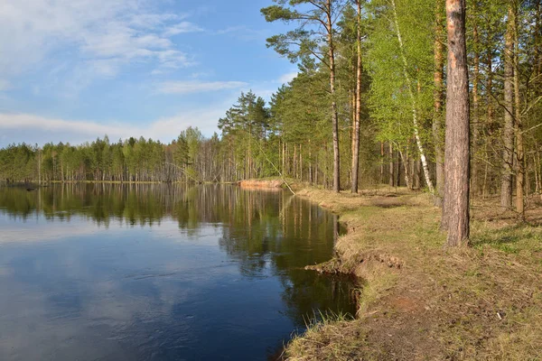 Весенний Пейзаж Реке Национальном Парке Мещера Рязань Россия — стоковое фото