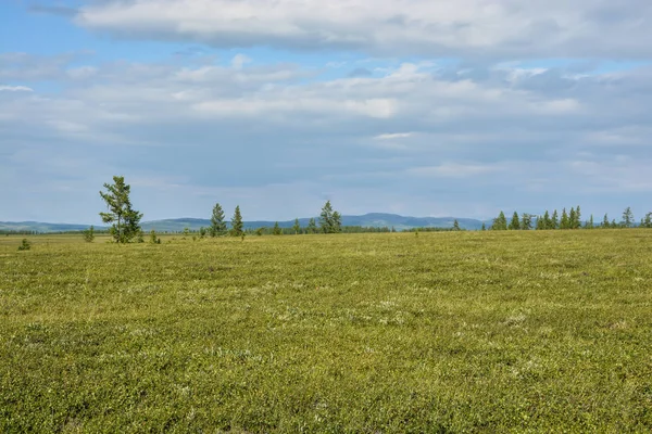 Foothill Tundra Polar Sommarlandskap — Stockfoto