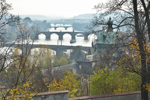 Prag Broar Över Vltava Stadslandskapet Huvudstaden Tjeckien — Stockfoto