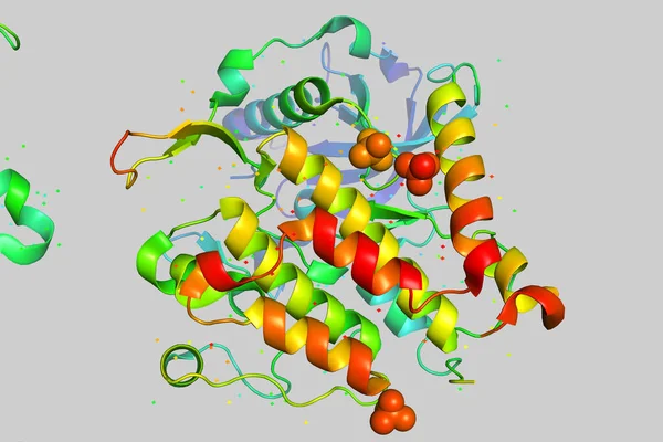 Üç boyutlu kristal yapısını protein molekülü, tümör büyüme işaretçisi. 3D bir biyopolimer bir peptid modeldir.