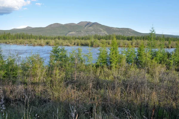 Літній Пейзаж Води Навколо Річки Suntar Високогір Oymyakon Якутії Росія — стокове фото