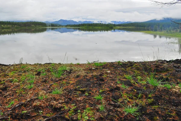 Wasser Sommerlandschaft Rund Den Fluss Suntar Hochland Von Oymyakon Jakutien — Stockfoto