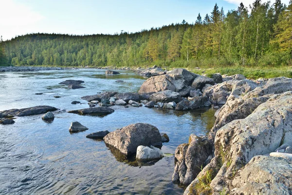 Summer Landscape Northern River Reserves Polar Urals Russia — Stock Photo, Image