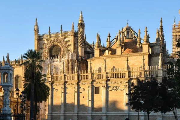 Katedra Sewilli Catedral Sevilla Catedral Santa Mara Sede Andaluzja Największą — Zdjęcie stockowe