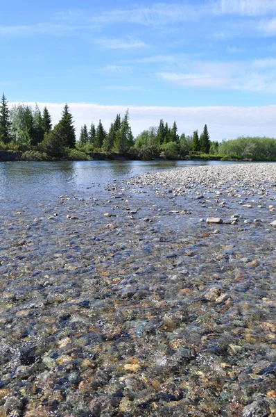 Zomer Rivierenlandschap Van Polar Oeral Pebble Rif North River — Stockfoto