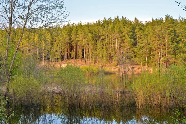Spring evening on the river. Spring landscape on the river in the National Park Meschera Ryazan, Russia.