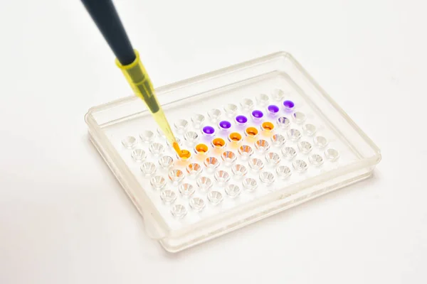 Biological Scientific Laboratory Sample Pipetted Well Plate — Stock Photo, Image