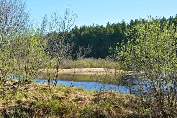 Voorjaar Rivierlandschap Voorjaar Nationaal Natuurpark Rjazan Meschera — Stockfoto