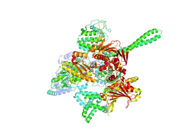 Tümör marker protein kristal yapısı. Biyolojik makromolekül 3 boyutlu model.