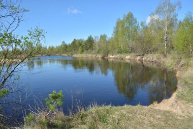 Korumalı bir nehir üzerinde Mayıs başında. Bahar manzara, nehir ve ağaçların ilk Yeşiller.