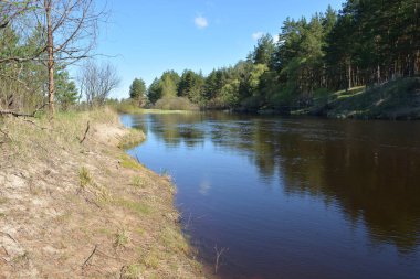 Ulusal Park 'ta ilkbahar. Bahar manzarası, nehir ve ağaçlardaki ilk yeşiller..