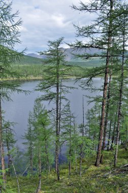 dağ nehir suntar. manzara Yakutya dünyanın uzak köşelerinde. Ridge suntar-khayata, Rusya Federasyonu.