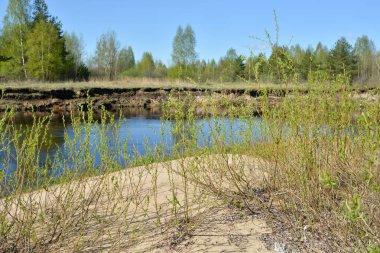Korumalı bir nehir üzerinde Mayıs başında. Bahar manzara, nehir ve ağaçların ilk Yeşiller.