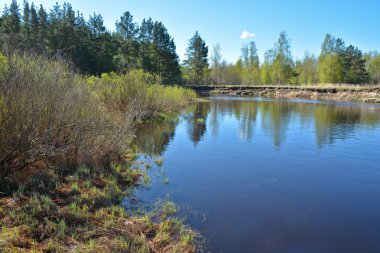Korumalı bir nehir üzerinde Mayıs başında. Bahar manzara, nehir ve ağaçların ilk Yeşiller.