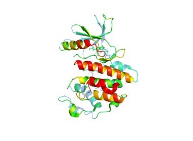 Tümör marker protein kristal yapısı. Biyolojik makromolekül 3 boyutlu model.