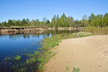 Korumalı bir nehir üzerinde Mayıs başında. Bahar manzara, nehir ve ağaçların ilk Yeşiller.