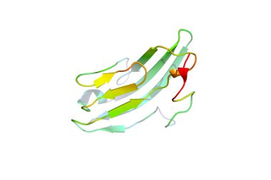 Tümör marker protein kristal yapısı. Biyolojik makromolekül 3 boyutlu model.