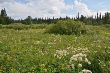 Unesco Dünya Mirası site 