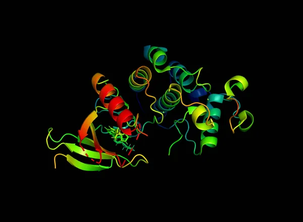 Estrutura Cristalina Proteína Marcador Tumor Modelo Macromolécula Biológica — Fotografia de Stock