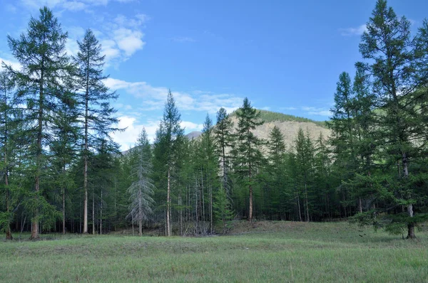 Valley Mountain River Suntar Landscape Wildlife Russia Yakutia Ridge Suntar — Stock Photo, Image