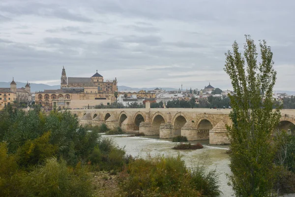 Córdoba Noviembre Puente Romano Mezquita Otoño España Córdoba Andalucía —  Fotos de Stock