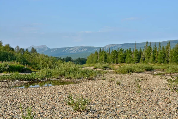 Das Objekt Des Unesco Welterbes Urwälder Der Komi Der Nationalpark — Stockfoto