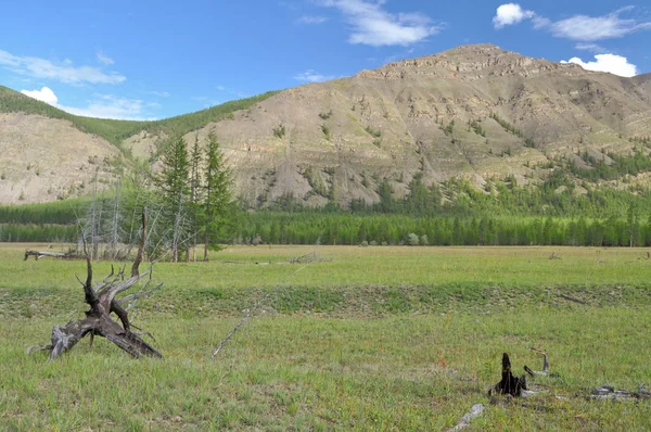 Das Tal Des Gebirgsflusses Suntar Landschaft Wildtiere Russland Yakutien Ein — Stockfoto