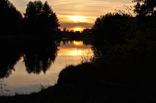 Sunset Bulvarında Bir Sessiz Nehir Milli Parkı Meshera Rusya Peyzaj — Stok fotoğraf