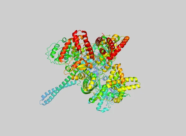 Estrutura Cristalina Proteína Marcador Tumor Modelo Macromolécula Biológica — Fotografia de Stock