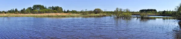 Národní Park Meshchera Rjazaňská Oblast Ruská Federace Panorama Jarní Řeky — Stock fotografie