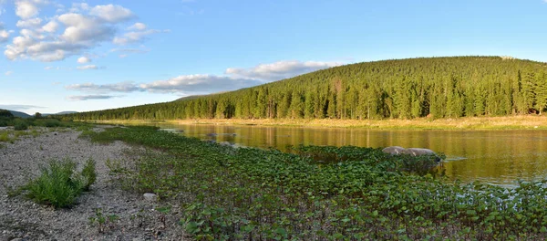 Panorama Del Río Parque Nacional Yugyd Objeto Del Patrimonio Natural —  Fotos de Stock