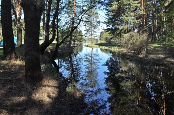 Národní Park Meshchera Rjazaňská Oblast Ruská Federace Tiché Řeky Zapadákov — Stock fotografie