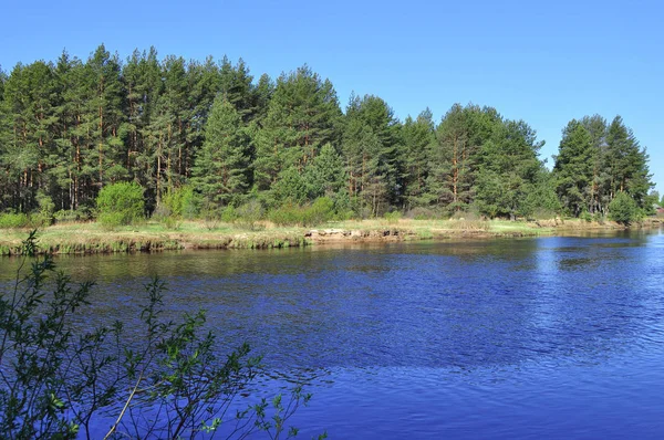 国立公園 Meshchera リャザン地域 ロシア連邦 春の風景を捨てください — ストック写真