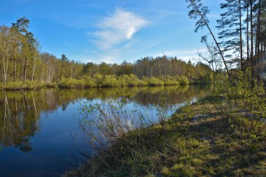 Mayıs günü Nehri üzerinde. Bahar nehir manzara Orta Rusya Milli Parkı içinde.