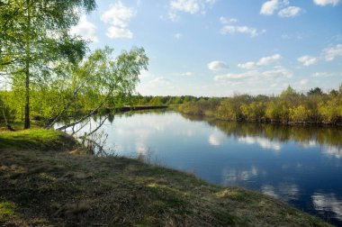 Bahar manzara nehir orman. milli park pra nehir ryazan bölgede 