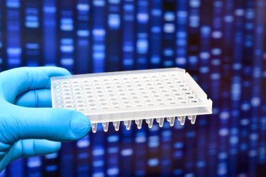 Moleküler genetik ve biyoteknoloji. Bir bilimsel araştırma laboratuvarı.