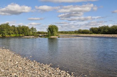 Çakıl nehir bankalar. Kutup Ural, Komi Cumhuriyeti, Rusya Federasyonu.
