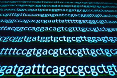 Gen sıralama. Kodu çözülmüş Dna molekülünün üsleri nükleotit dizisi.
