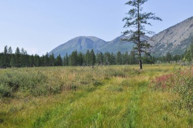 dağların arasındaki geniş vadi. Rusya, Yakutya, oymyakon yaylaları, ridge suntar-khayata.