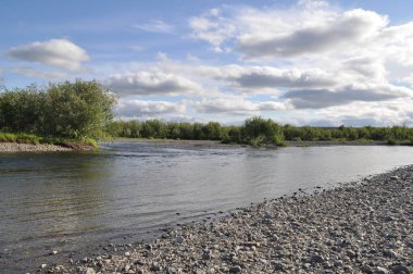 Kuzey Nehri kıyısında yaz manzara. Kutup Ural, Komi Cumhuriyeti, Rusya Federasyonu.