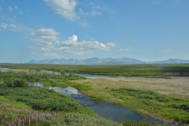 Tundra kutup Urallar ve ana Ural aralığı içinde. Rusya'da yaz Kuzey manzara.