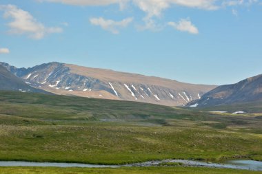 Tundra kutup Urallar ve ana Ural aralığı içinde. Rusya'da yaz Kuzey manzara.