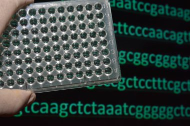 Moleküler genetik ve biyoteknoloji. Bir bilimsel araştırma laboratuvarı.