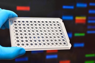 Moleküler genetik ve biyoteknoloji. Bir bilimsel araştırma laboratuvarı.