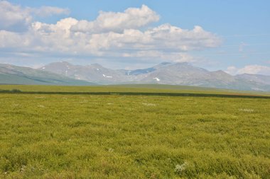 Tundra kutup Urallar ve ana Ural aralığı içinde. Rusya'da yaz Kuzey manzara.