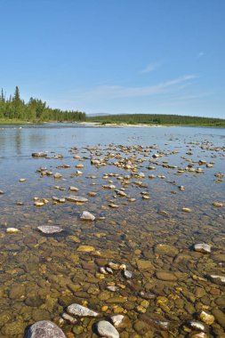 Kutup Urallar nehir. Rusya'nın Kuzey yaz su manzara.