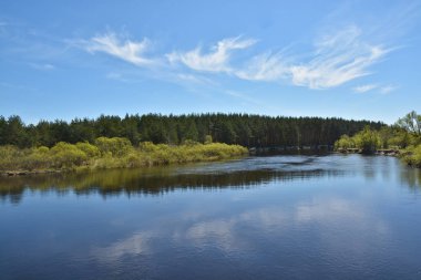 Orman nehir Mayıs sabahı. Bahar nehir manzara Orta Rusya Milli Parkı içinde.