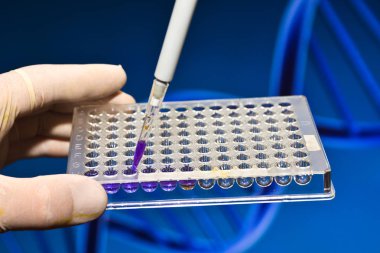 Moleküler genetik ve biyoteknoloji. Bir bilimsel araştırma laboratuvarı.
