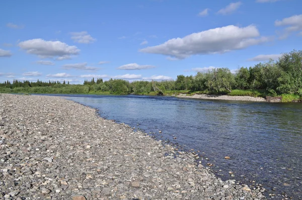 Sommerlandschaft Ufer Des Nördlichen Flusses Polar Ural Komi Republik Russland — Stockfoto