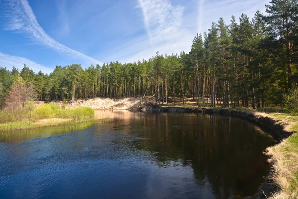 Rivier Van Bos Het Nationaal Park Van Rusland Lente Water — Stockfoto